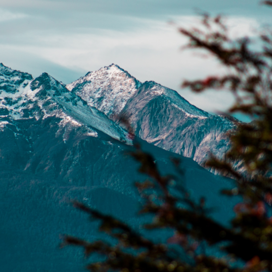 lacs montagnes foret chili argentine