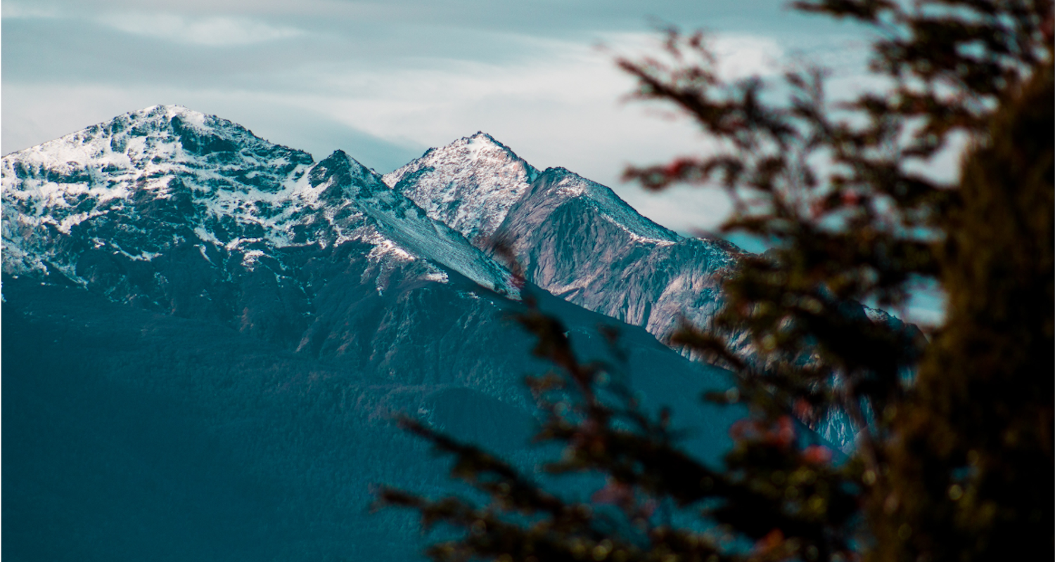 lacs montagnes foret chili argentine