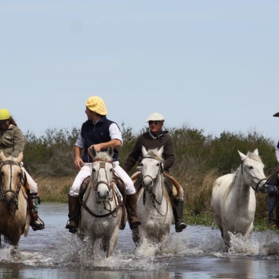 argentine estancia esteros del ibera gaucho cheval chevaux nature corrientes lac réserve eau douce