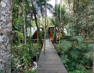 Ecolodge_Jungle_Iguazu_Argentine_Tierra-Latina Ecolodge_Jungle_Iguazu_Argentine_Tierra-Latina