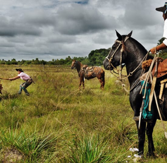 argentine estancia esteros del ibera nature corrientes gauchos cowboys cheval