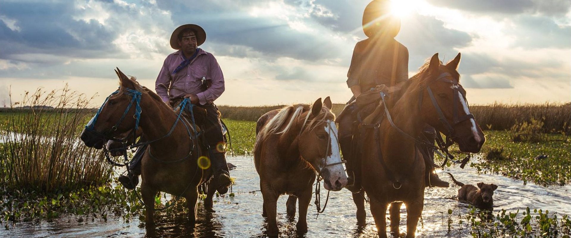 argentine corrientes chevaux patagonie esteros del ibera gauchos