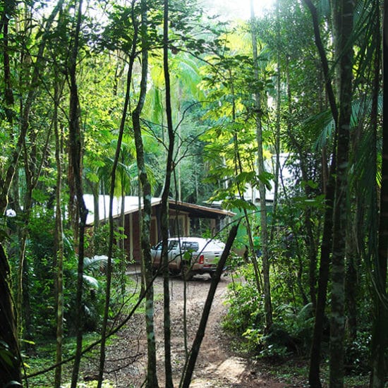 Iguazu immersion jungle ecolodge