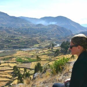 Perou canyon du Colca