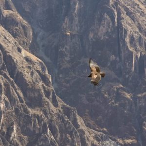 Perou croix des condors