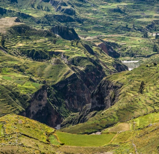 vallée canyon colca pérou montagnes terrasses