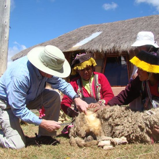 vallée sacrée incas habitants tonte moutons