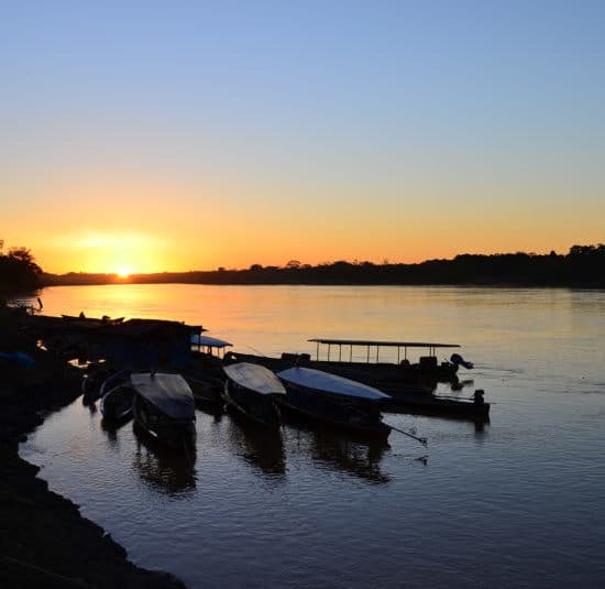 pérou puerto maldonado amazonie