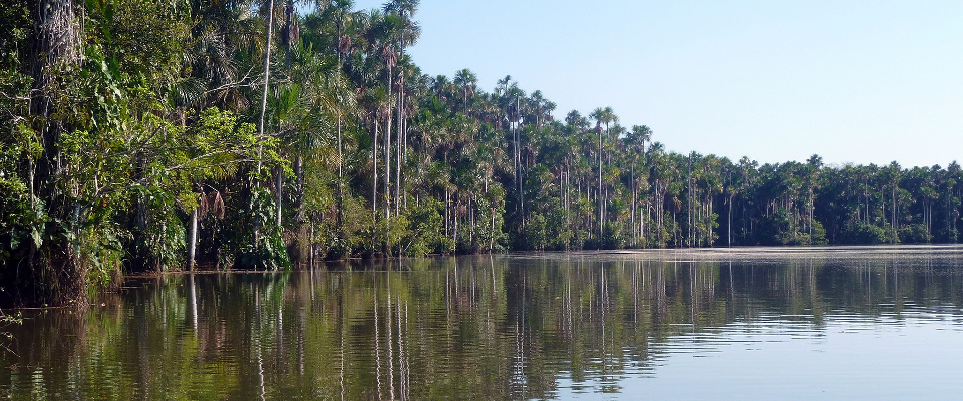 pérou puerto maldonado fleuve amazone