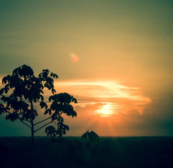 pérou puerto maldonado coucher de soleil sunset