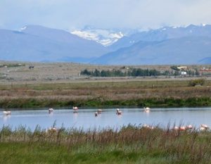 TIERRA-LATINA-Témoignage-François-et-Catherine-Lefebvre-laguna-nimez-11 TIERRA-LATINA-Témoignage-François-et-Catherine-Lefebvre-laguna-nimez-11