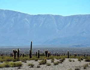 TIERRALATINA_Salta_Voyage-Sur-Mesure_Argentine salta purmamarca cafayate argentine