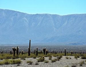 salta purmamarca cafayate argentine