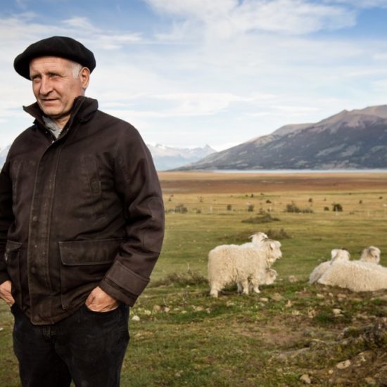 argentine patagonie estancia champs moutons gauchos paysage nature immersion paysan immersion à perte de vue montagne