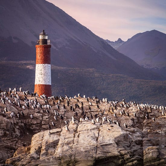 argentine patagonie parc national terre de feu bout du monde ushuaia paysage nature immersion montagne sauvage manchot magellan phare photo