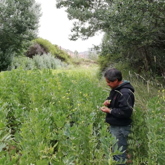 argentine raul habitant culture agriculture communauté natif immersion