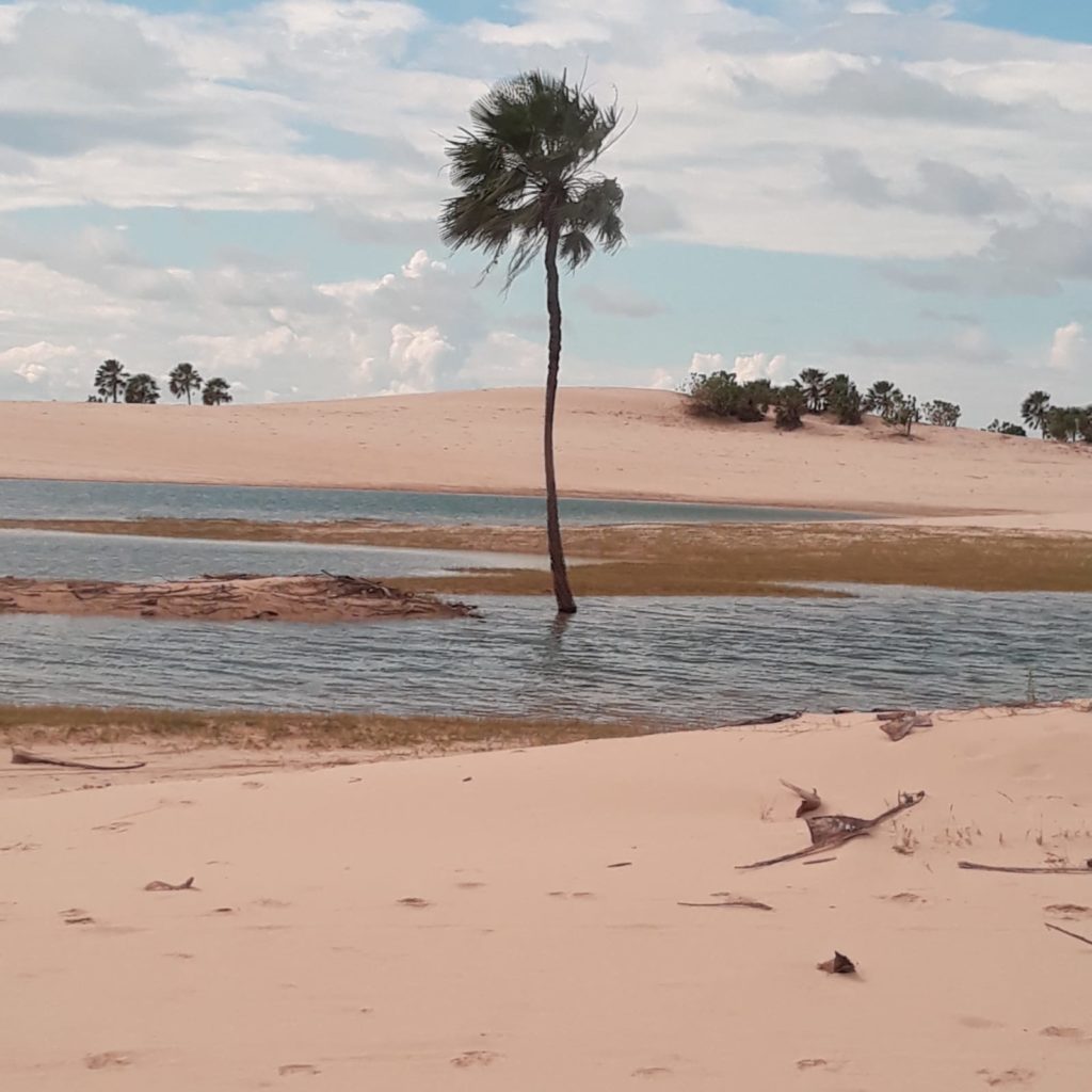 Tierra Latina Voyage Brésil découverte nature