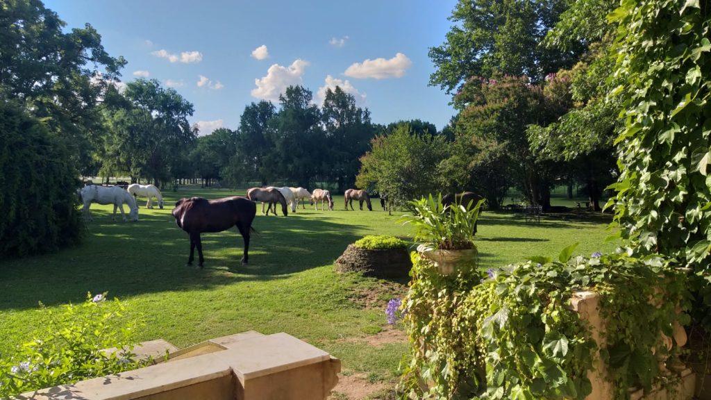 Tierra Latina Voyages San Antonio de Areco Découverte
