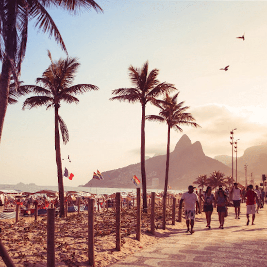 Bresil rio de janeiro Ipanema plage palmiers