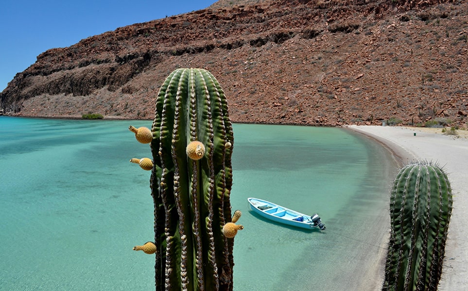 
voyage-mexique-baja-california-sur-constanza-s-mora-unsplash