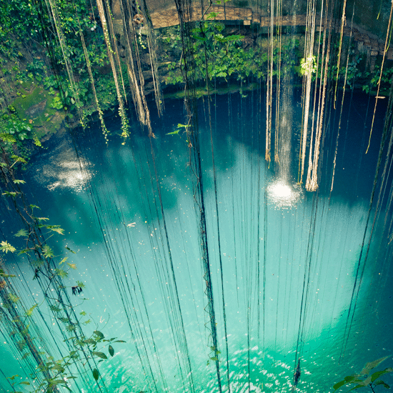 Mexique cenote yucatan merida puit d'eau naturel valladolid lianes curiosité eau turquoise