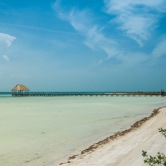 mexique ile holbox yucatan caraïbes mer bleue turquoise plage magnifique paradisiaque arbre mort souche baignade horizon ponton passerelle cahutte pilotis bois