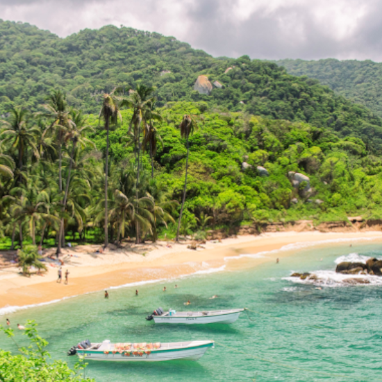 colombie tayrona plage palmiers bateaux eau turquoise