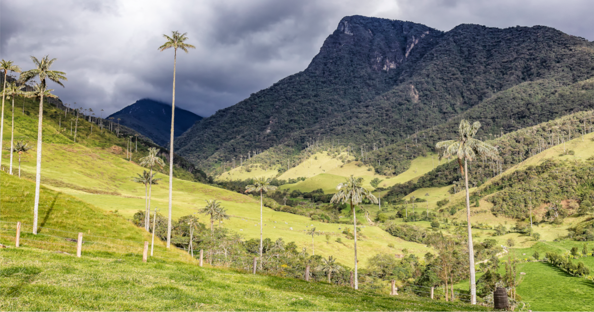 Voyage Tierra Latina Colombie Valle Cocora