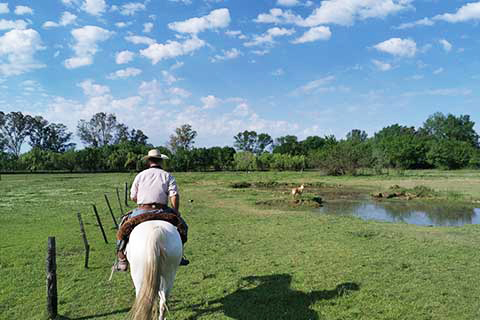 Argentine San Antonio de Areco gaucho a cheval