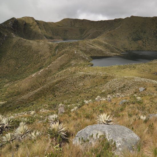 Voyage Tierra Latina Colombie Parc Chingaza