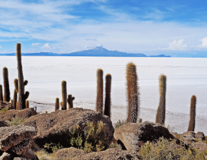 Tierra Latina voyage Chili Bolivie Sud Lipez uyuni