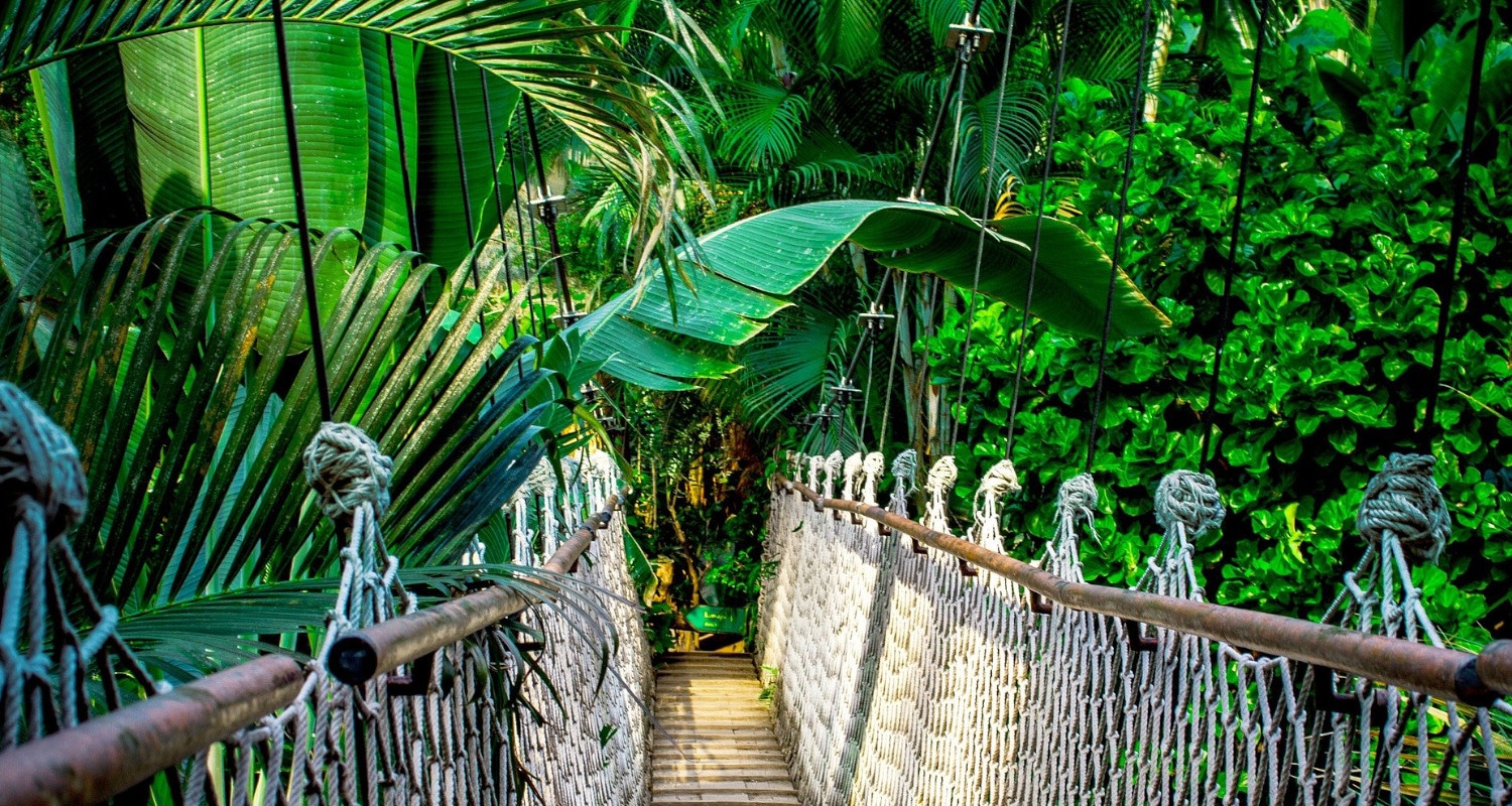 TierraLatina-Amazonie-Brésil-Pont-Suspendu-Trek