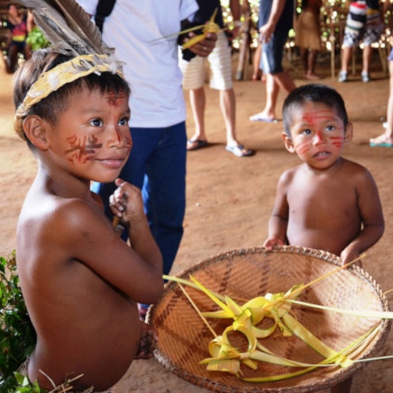 TierraLatina-Amazonie-Fleuve-Arbre-Manaus-Poumon-de-la-terre-Natifs-peuple-habitant