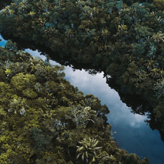 TierraLatina-Amazonie-Manaus-Fleuve-Nature-Aventure