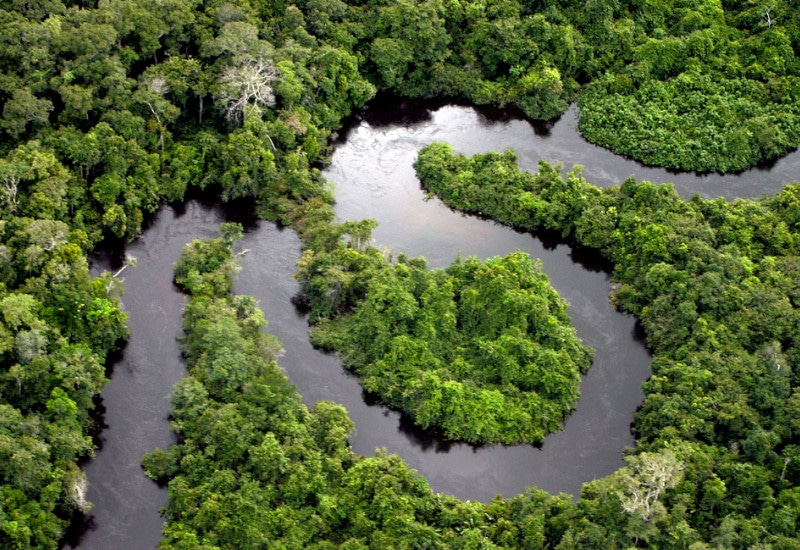 jungle brésil voyage tierra latina amazonie
