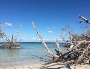 Tierra Latina Voyage Cuva Cayo Jutias