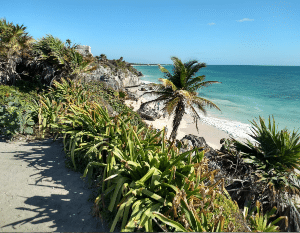 Tierra Latina Voyage Mexique Tulum