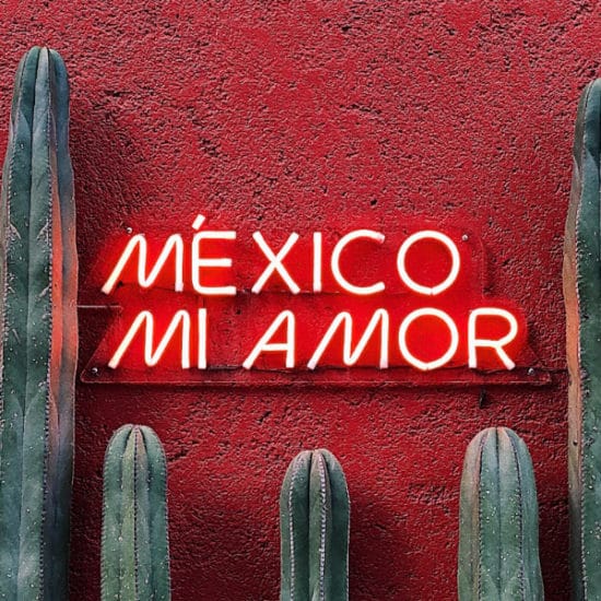 TierraLatina-Mexico-City-Mi-Amor-Cactus