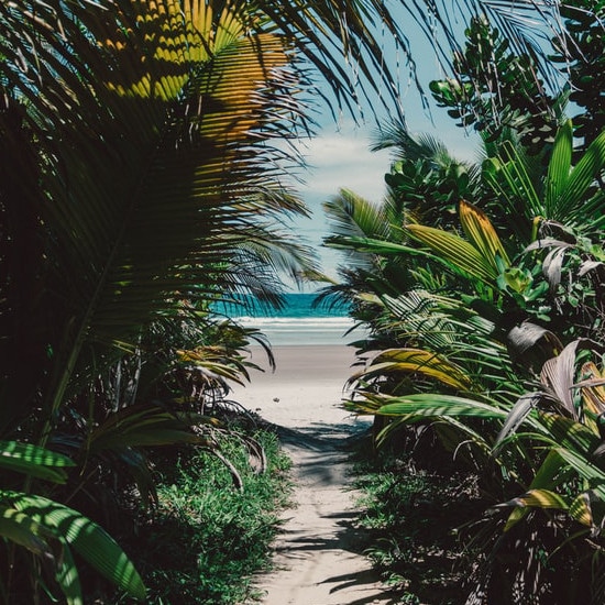 TierraLatina-Brésil-Salvador-Plage-Farniente-Détente