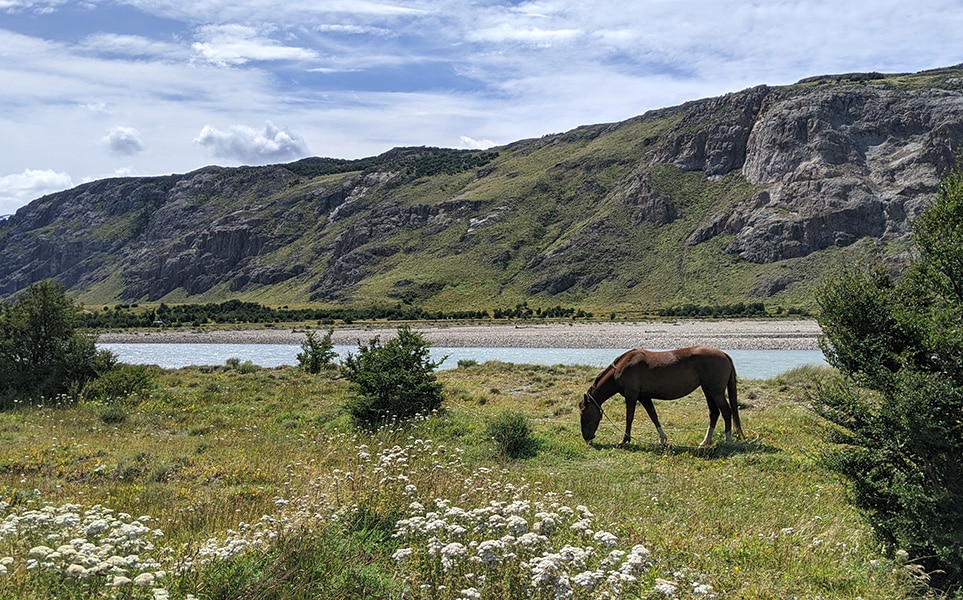 voyage-argentine-el-chalten-randonnee-cheval-ryuta-f-unsplash