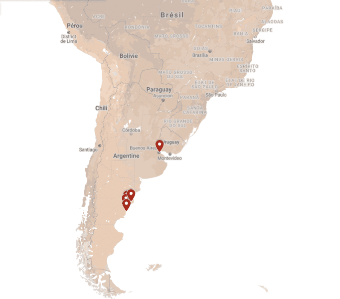 Puerto-piramides-puerto-madryn-argentine-patagonie