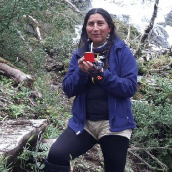 Isabel-tierra-latina-communaute-mapuche-chili