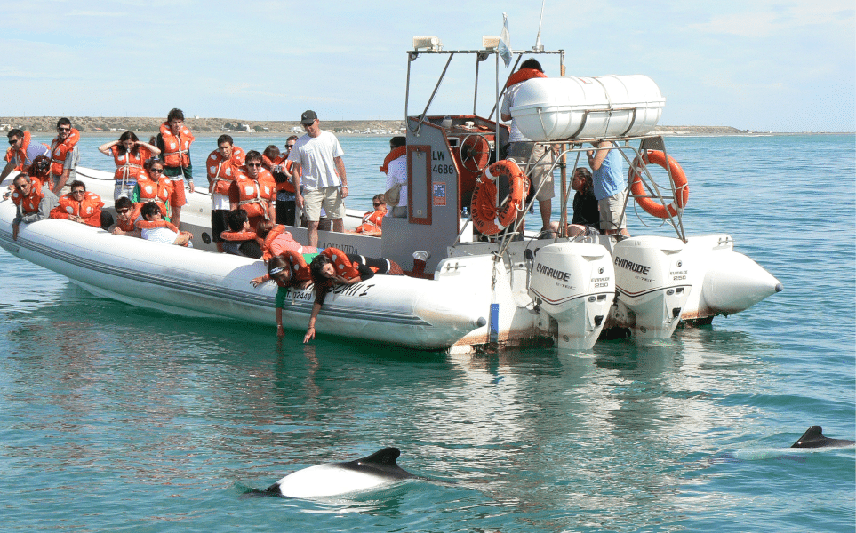 Puerto-madryn-peninsule-valdes-argentine-toninas-dauphins