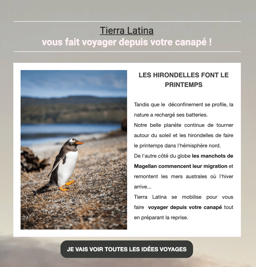Newsletter-mai-2020-tierra-latina