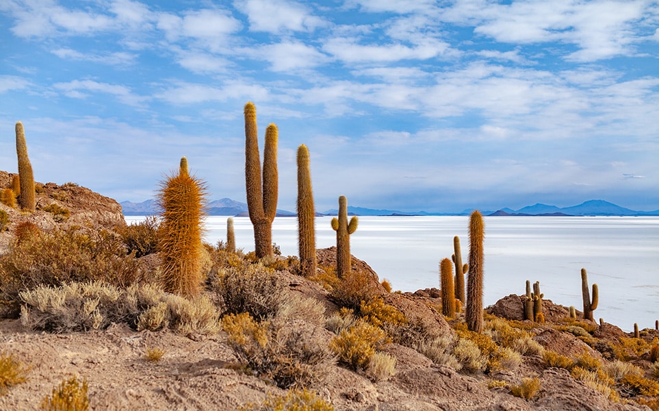 voyage-bolivie-salar-uyuni-diego-aguilar-unsplash.jpg