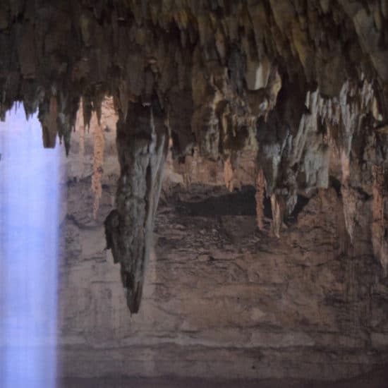 sejour-chez-l-habitant-yucatan-cenote-carlos-nakazato