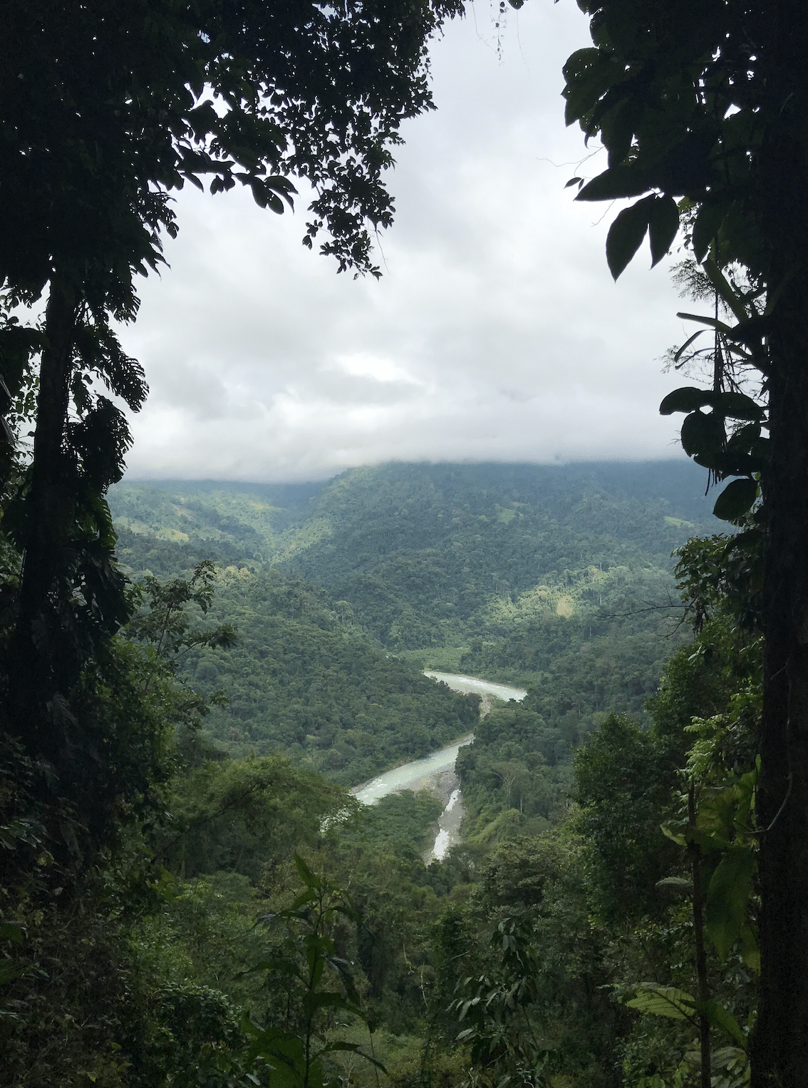 communaute-locale-costa-rica-tierra-latina