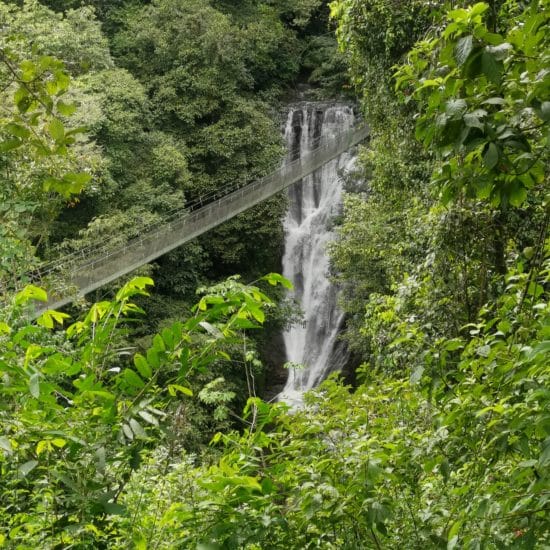 costa-rica-pont-suspendu-tierra-latina