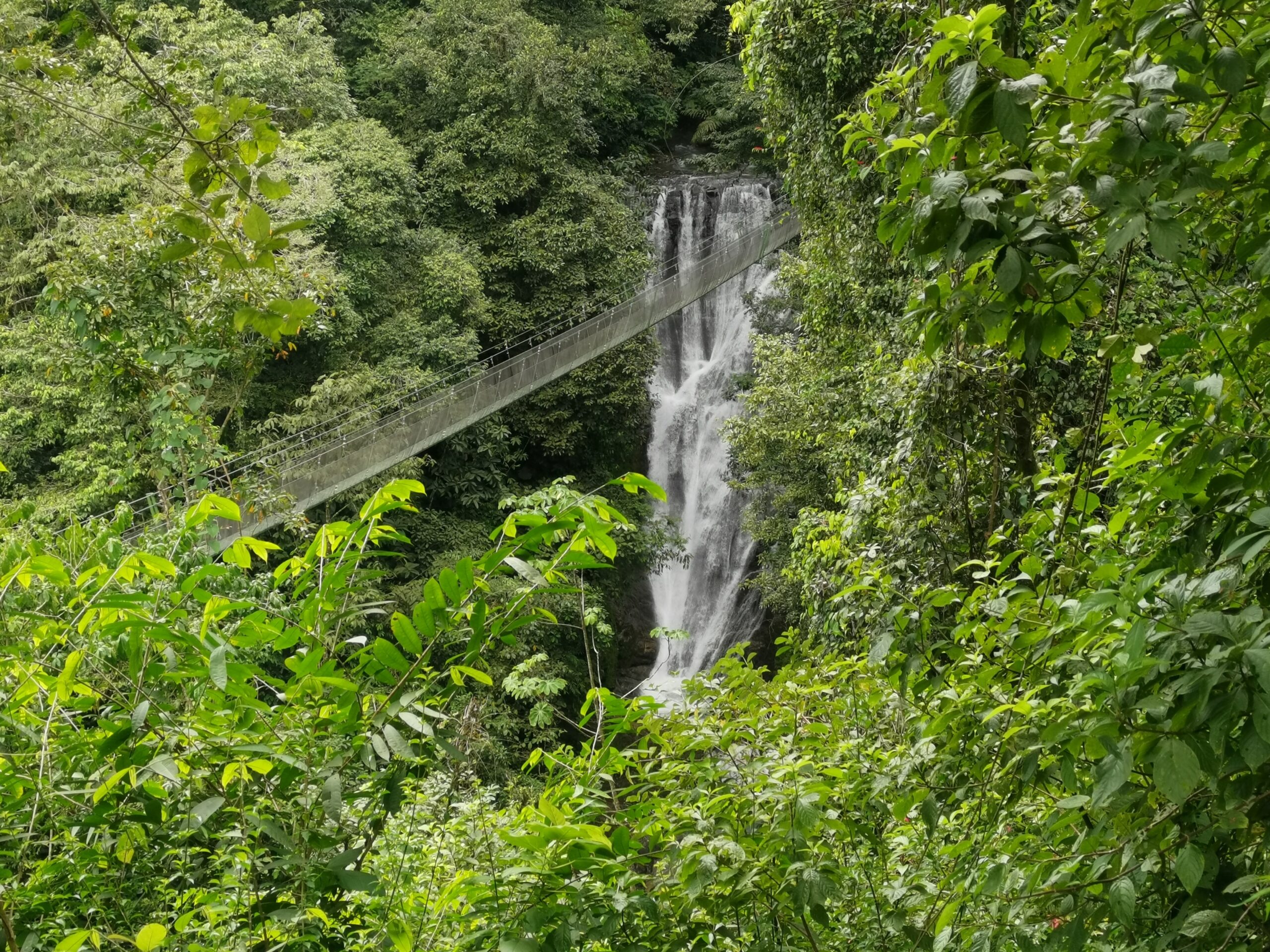 costa-rica-pont-suspendu-tierra-latina