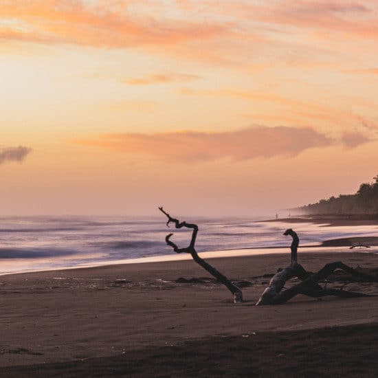 tierra-latina-etienne-delorien-coucher-du-soleil-parc-national-tortuguero-costa-rica